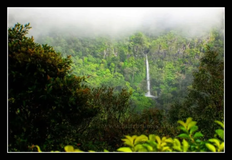 Don Salvador Benedicto