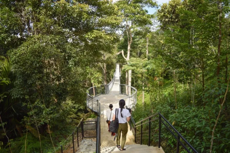 The Habitat in Penang