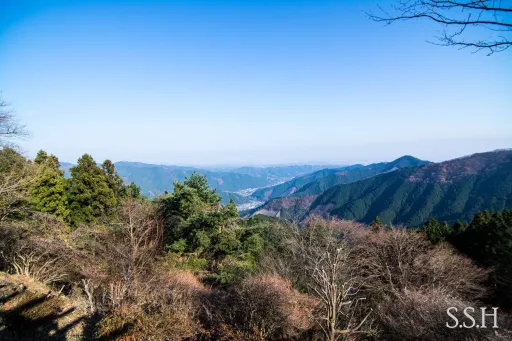 Image for article Mt. Mitake: A Day Hike in Tokyo You Must Complete