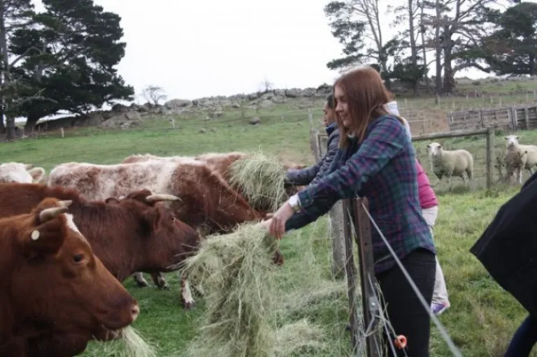 australia family and kids