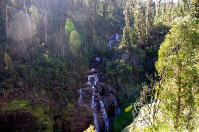 australia family and kids