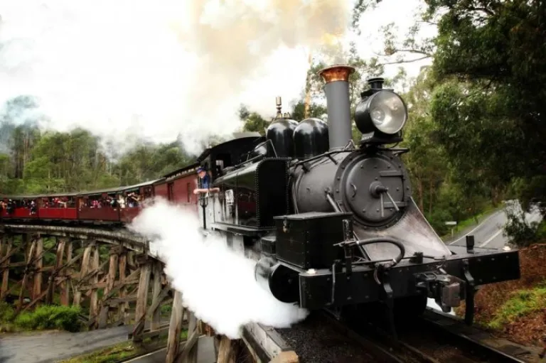 australia family and kids