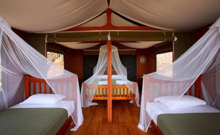 australia family and kids