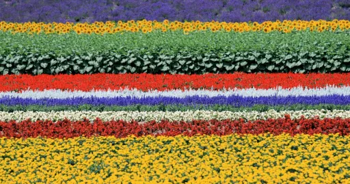 Image for article A 13-Day Hokkaido Itinerary Beyond the Snow