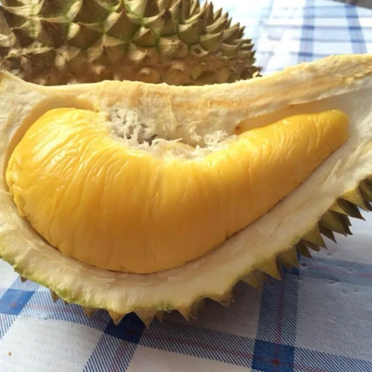 durian orchards malaysia