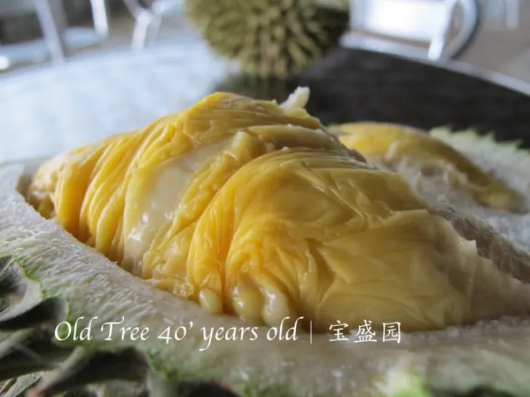 Bao Sheng Durian Farm