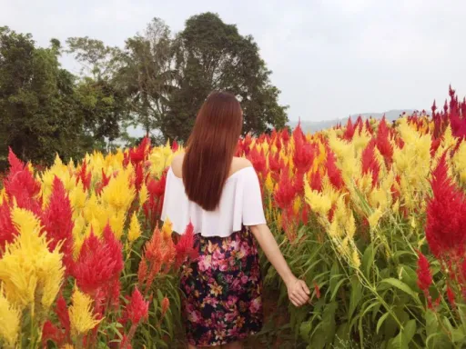 Image for article These Stunning Spots in Cebu Will Take You to Different Parts of the World