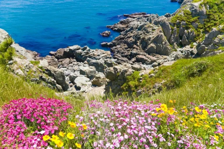 things to do in busan