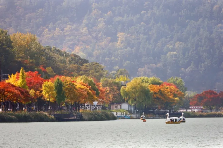 things to do near busan daegu