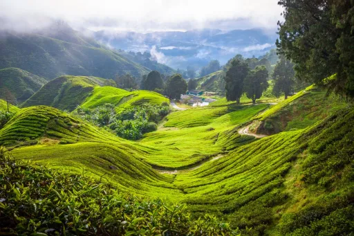 Image for article Top 10 Glamping and Camping Sites You Must Visit in Malaysia