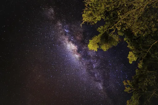Image for article Top 9 Otherworldly Stargazing Sites in Malaysia