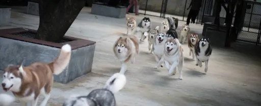 Image for article This Husky Cafe Is Probably The Cutest Place In Bangkok