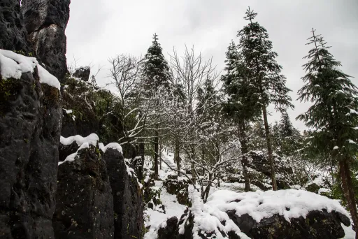 Image for article OMG! It’s Snowing in Vietnam Right Now