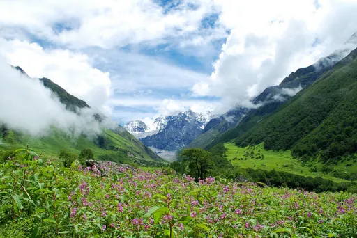Image for article India Hiking Trails: Explore 10 Must-See Scenic Destinations