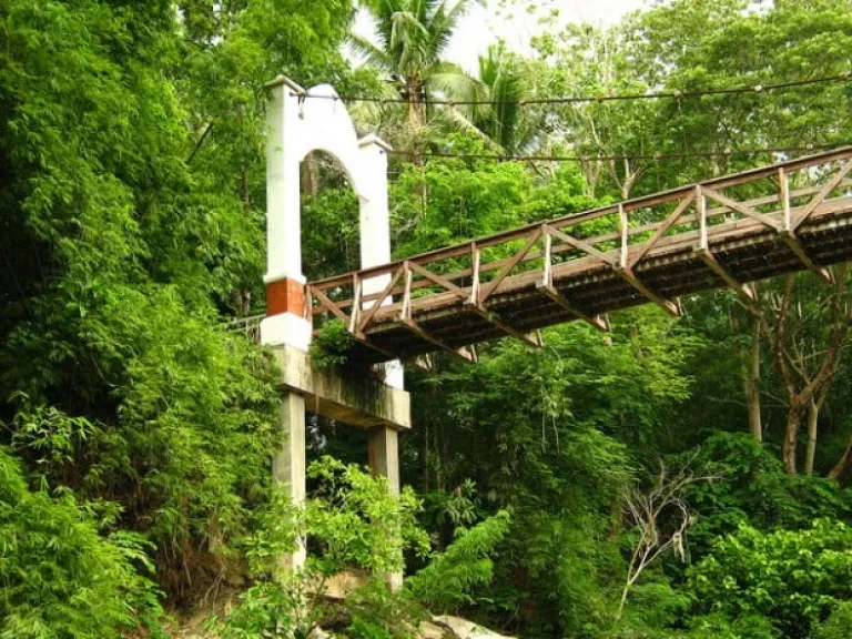 camping in the philippines