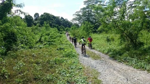 Image for article Top 5 Cycling Trails in Singapore