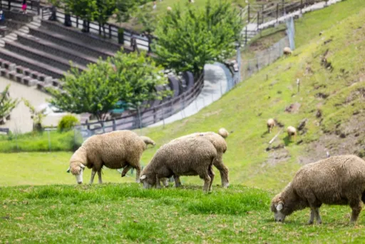 Image for article 14 Unconventional Things to Do in Taiwan for A Smashing Vacation