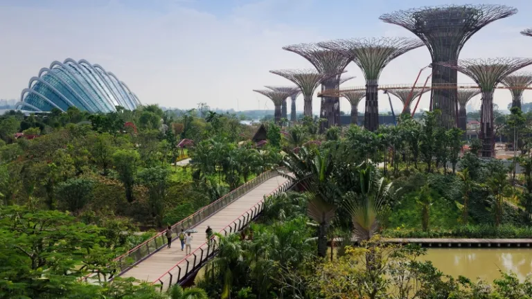 gardens by the bay