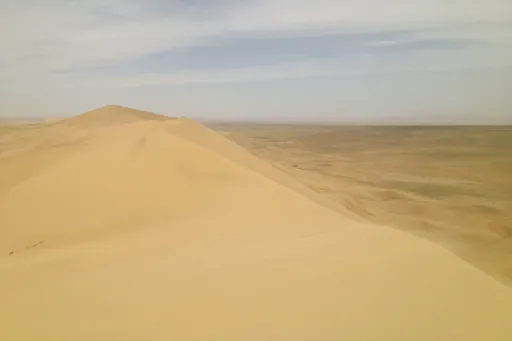 Image for article Complete Guide to the Gobi Desert Tour in Mongolia