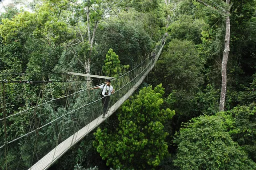 Image for article 12 Incredible Outdoor Adventures You Can Have In Malaysia