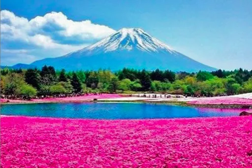 Image for article 9 Places in Japan That are Totally Instagram-Worthy