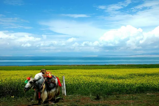 Image for article Six Cycling Routes in Asia With the Most Stunning Views