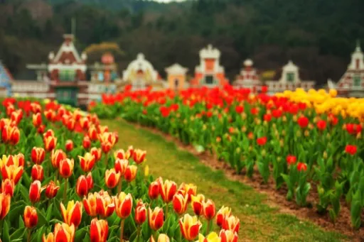 Image for article 10 Family-friendly Destinations in South Korea