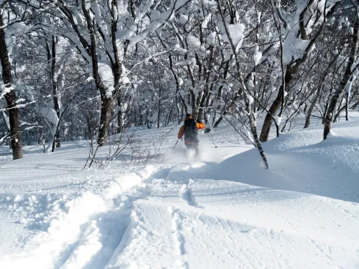 Image for article 3 Day Budget Skiing in Japan under SGD1200