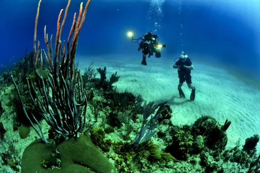 Image for article 12 Best Islands in Asia to Get Your Scuba Diving Certificate
