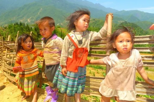Image for article 10 Reasons to Go Trekking in Sapa, Vietnam in 2025
