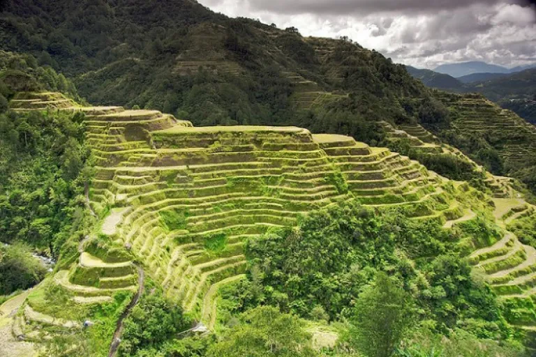 Banaue Rice Terraces