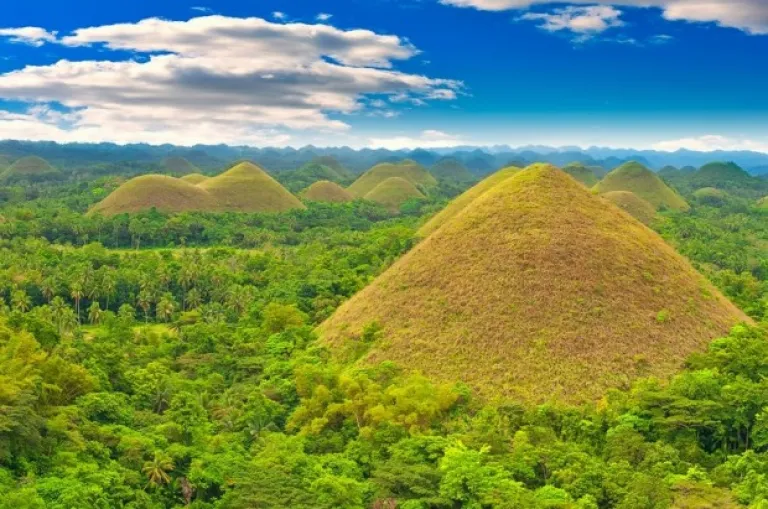 Chocolate Hills