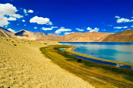 Image for article Pangong Tso: The Enchanted Lake Between India and Tibet