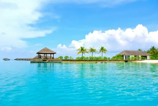 Image for article 8 Reasons a Maldives Trip is Worth Breaking the Bank