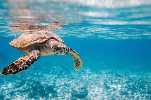 Image for article 14 Places You’ve Been Pronouncing Wrong Your Whole Life