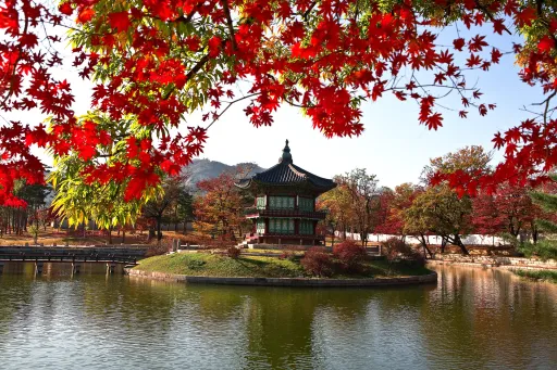Image for article Seoul Travel Guide for Budget Travellers
