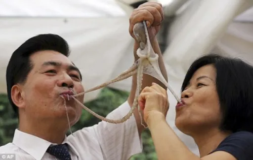 Image for article 10 Bizarre and Controversial Delicacies to Try in South Korea