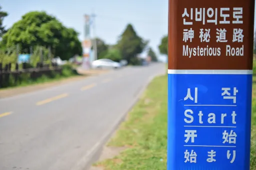 Image for article Uncover the Truth Behind the Mysterious Road of Jeju Island