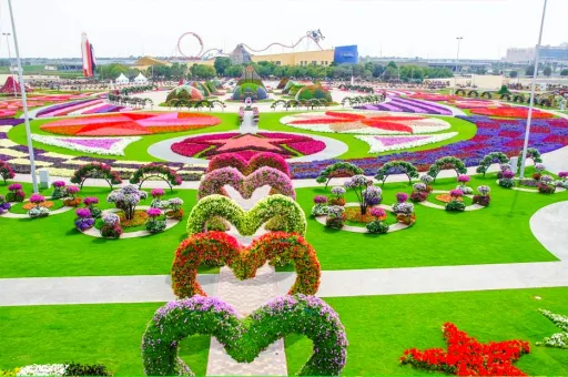 Image for article Dubai Miracle Garden: World’s Biggest Natural Flower Garden