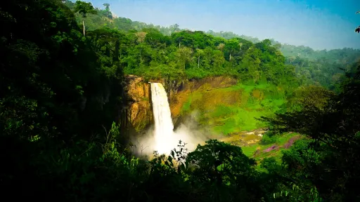Image for article Ekom Nkam Falls and Tarzan’s Jungle Home