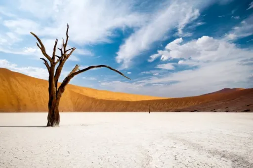 Image for article Deadvlei In Namibia Is So Lifeless Yet So Beautiful