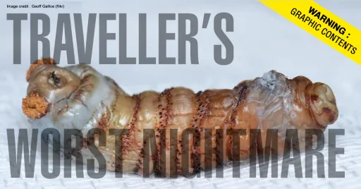 Image for article 10 Disgusting Creatures Travellers Bring Home From Holidays