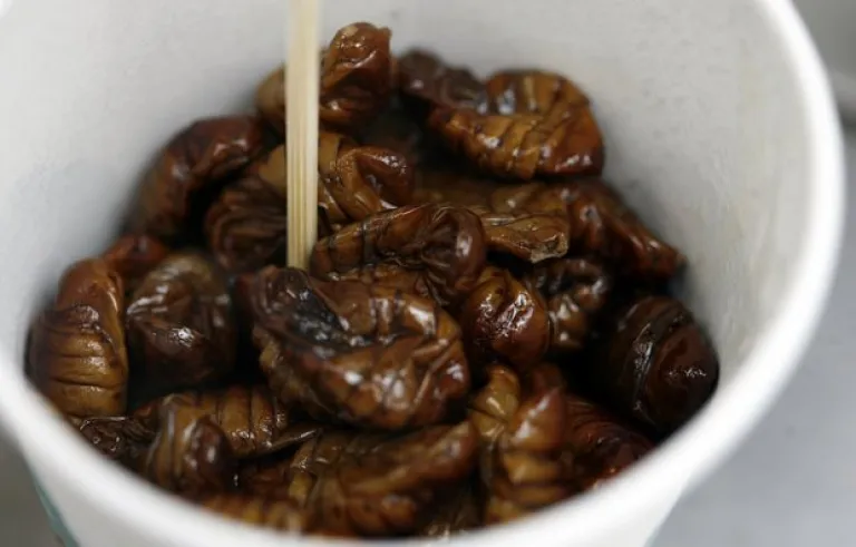 cooked silkworms