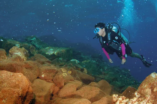 Image for article Banua Wuhu: Diving at Indonesia’s Active Underwater Volcano