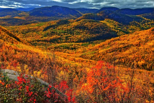 Image for article 5 Places to See Fall Foliage in Canada