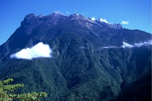 Image for article Mount Kinabalu and its Picturesque View at 4,095m
