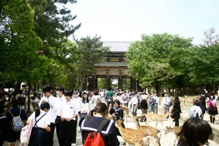Nara Deer Park