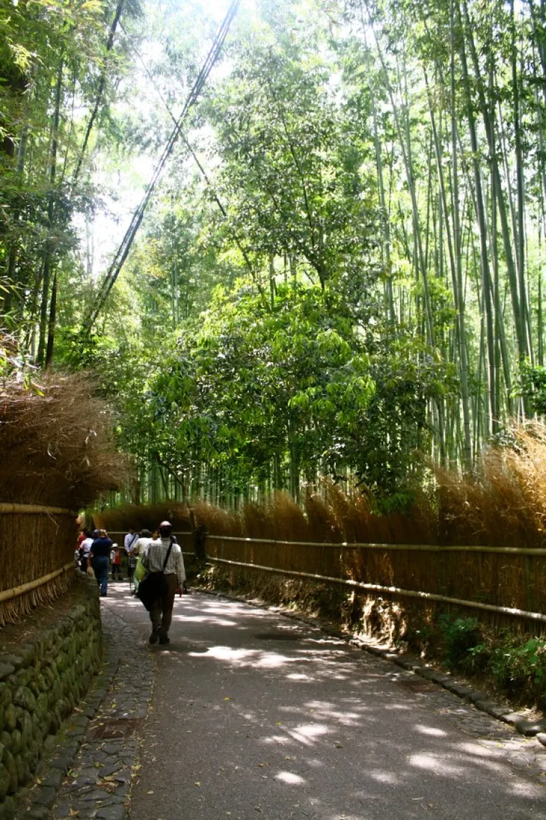 Arashiyama