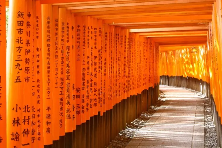Torii Gates