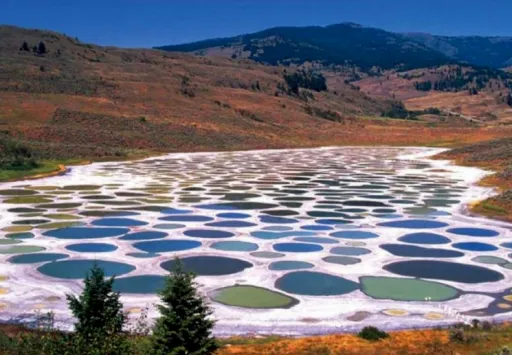 Image for article The Mystery of the Spotted Lake Revealed!